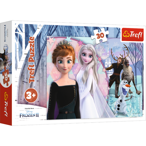 Se Disney Frost 2 - 30 brikker hos SpilCompagniet