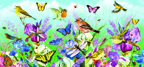 Butterflies & Blooms, 636 brikker (1)