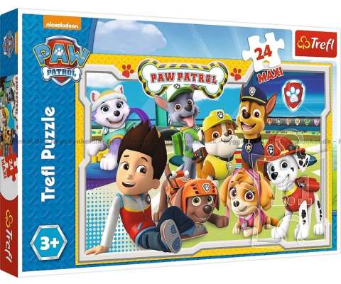 Paw Patrol Maxi 24 Brikker