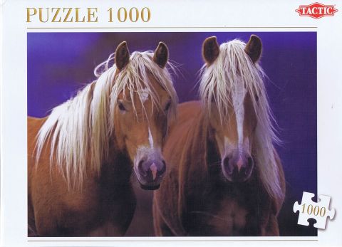 Two Horses, 1000 brikker (1)