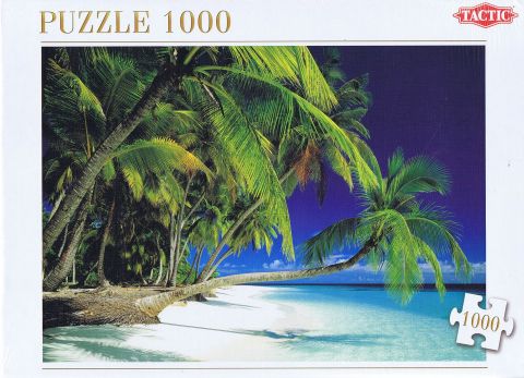 Beach, 1000 brikker (1)