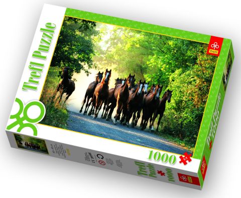 English Thoroughbred Stallions - 1000 brikker (1)