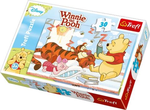 Winnie the Pooh 30 brikker (1)