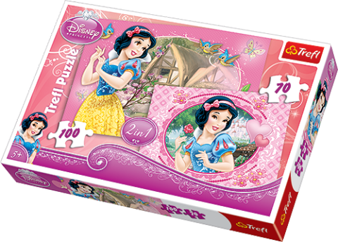 Disney Princess 70 + 100 brikker (1)
