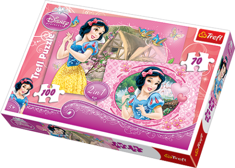 Disney Princess - 70 + 100 brikker (1)