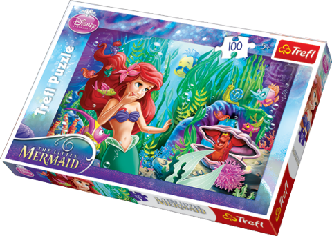 Disney Ariel - Hide and Seek - 100 brikker (1)