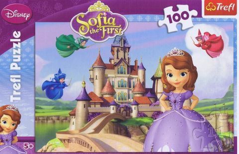 Sofia the First, 100 brikker (1)