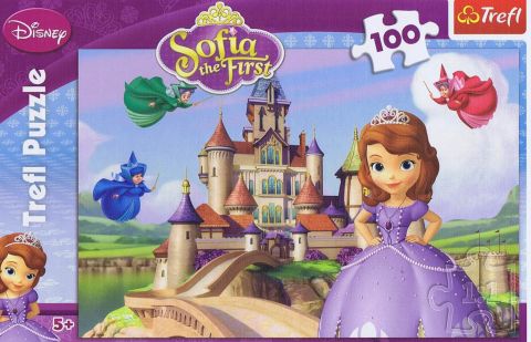 Sofia the First, 100 brikker (1)