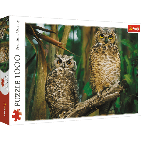 Billede af Owls - 1000 Brikker