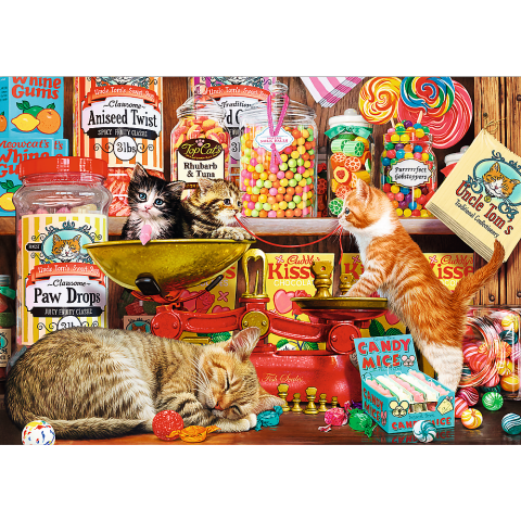 Cat's sweets - 1000 Brikker (2)