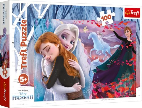 Frozen - 100 brikker (1)