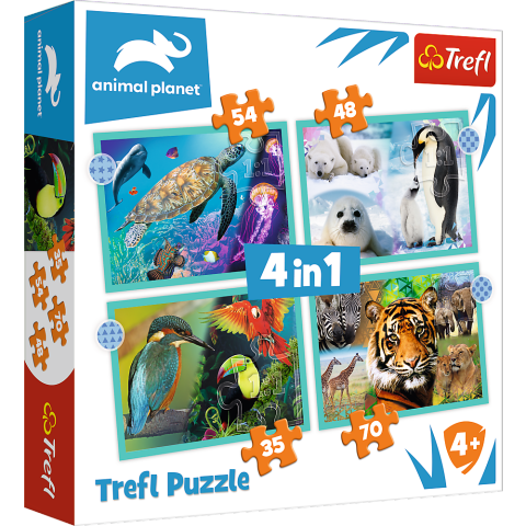 4i1 World of animals (1)