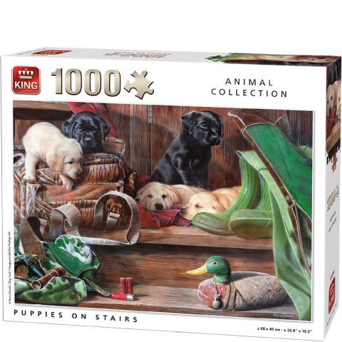 Puppies on Stairs - 1000 brikker (1)