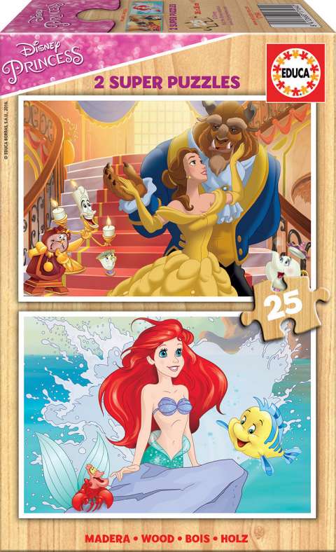 Disney Princesses - 2x25 brikker (1)