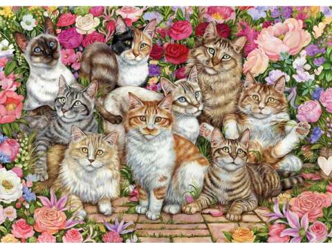 Floral Cats - 1000 Brikker (2)