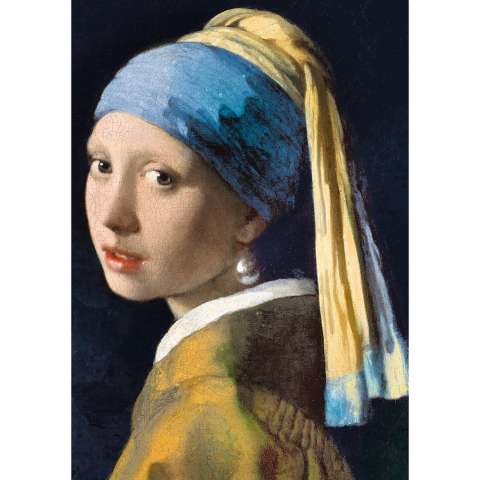 Girl with a pearl earring - 1000 brikker (2)