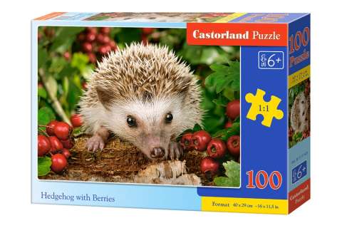 Hedgehog with Berries, 100 brikker (1)
