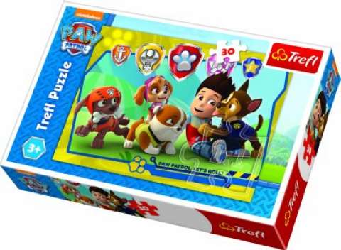 Paw Patrol, 30 brikker (1)