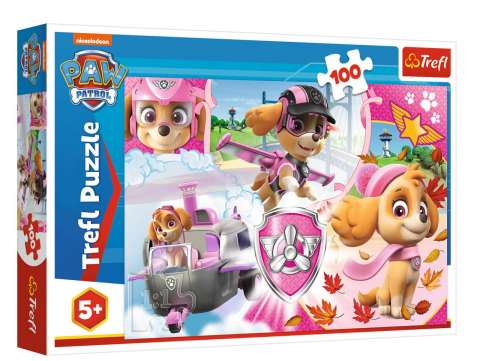 Paw Patrol - Skye - 100 brikker (1)